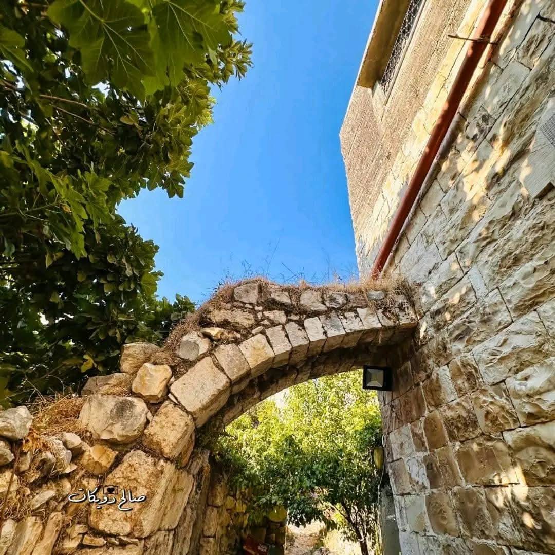 من قرية إجنسنيا شمال غرب نابلس   تصوير صالح دويكات